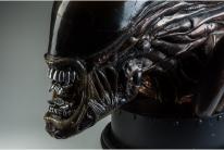 Alien head model by Terry English which will be on display at Royal Cornwall Museum’s forthcoming exhibition All Monsters Great and Small